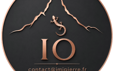 licence de marque ≠ franchise