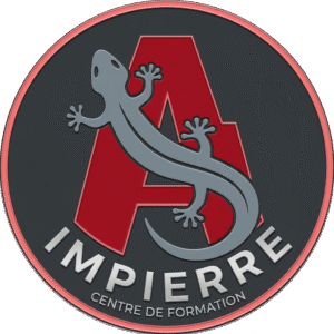 Logo imipierre 2026 Organisme de Formation avec margouillat sur le A en rouge
