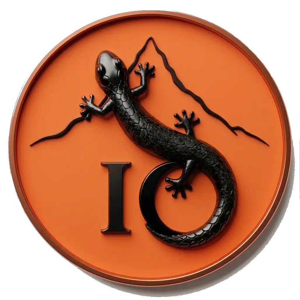 Favicon IMIPIERRE rond orangé avec contour transparents et minimaliste avec Initiales margouillat et mont otemanu